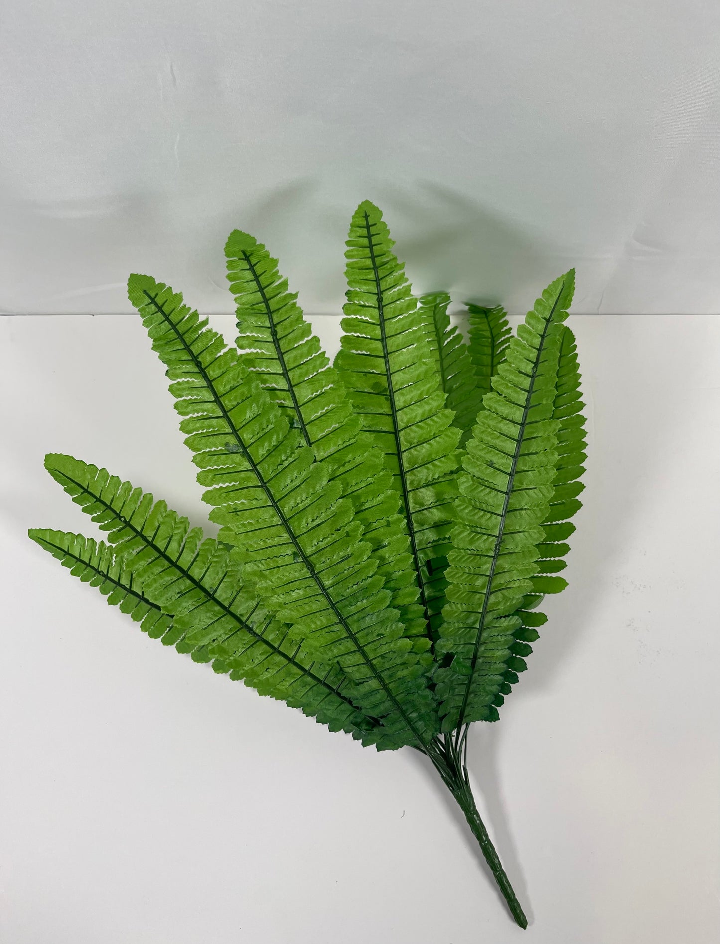 Fern Leaves bush light green color by 7CirclesUSA