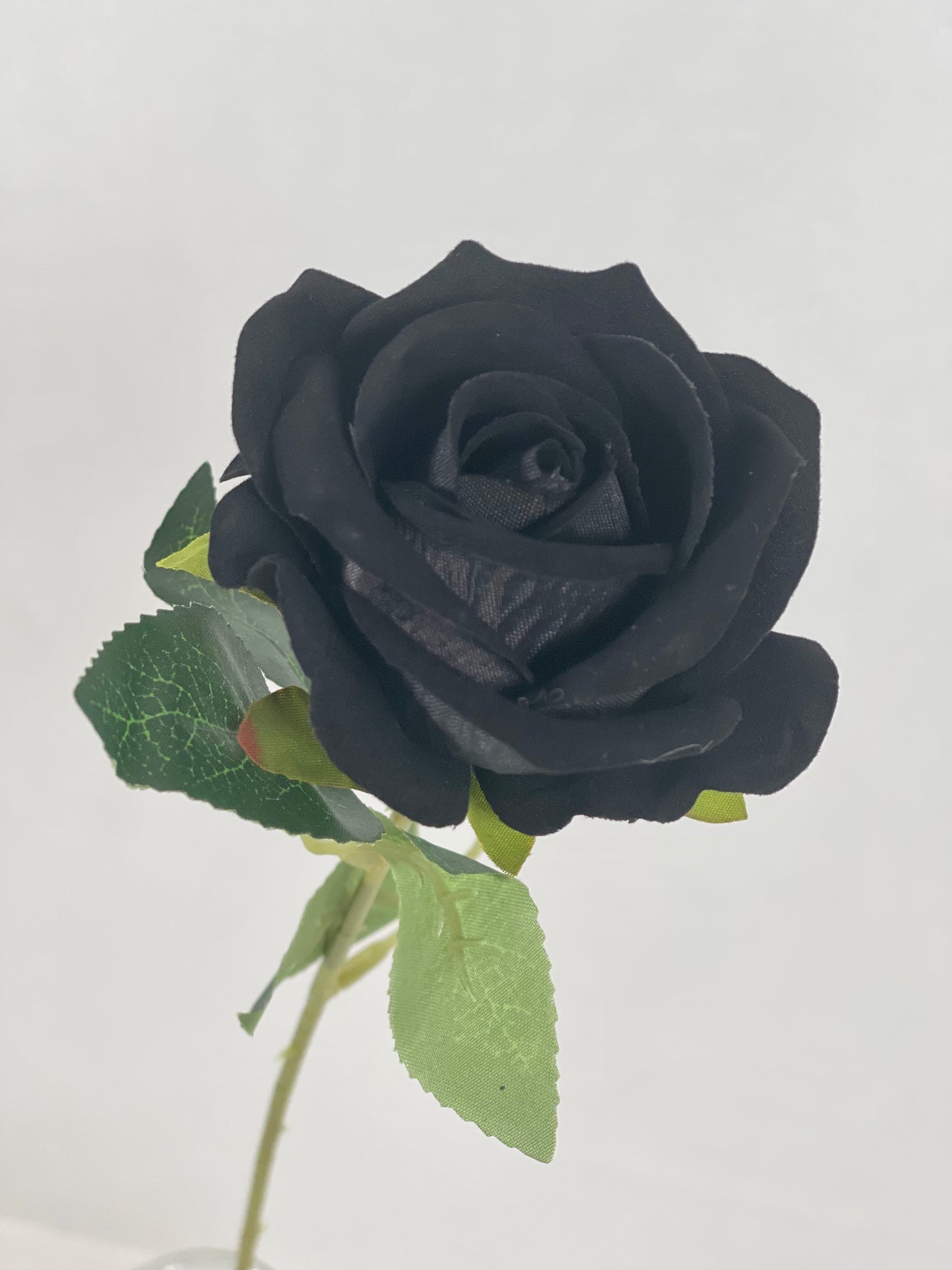 Single Stem Rose in Red and Black Colors  1 dozen
