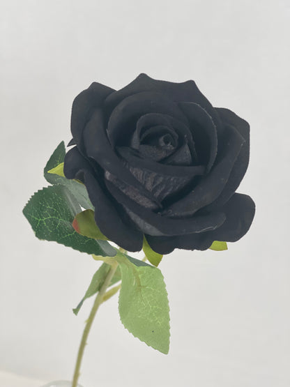 Single Stem Rose in Red and Black Colors  1 dozen