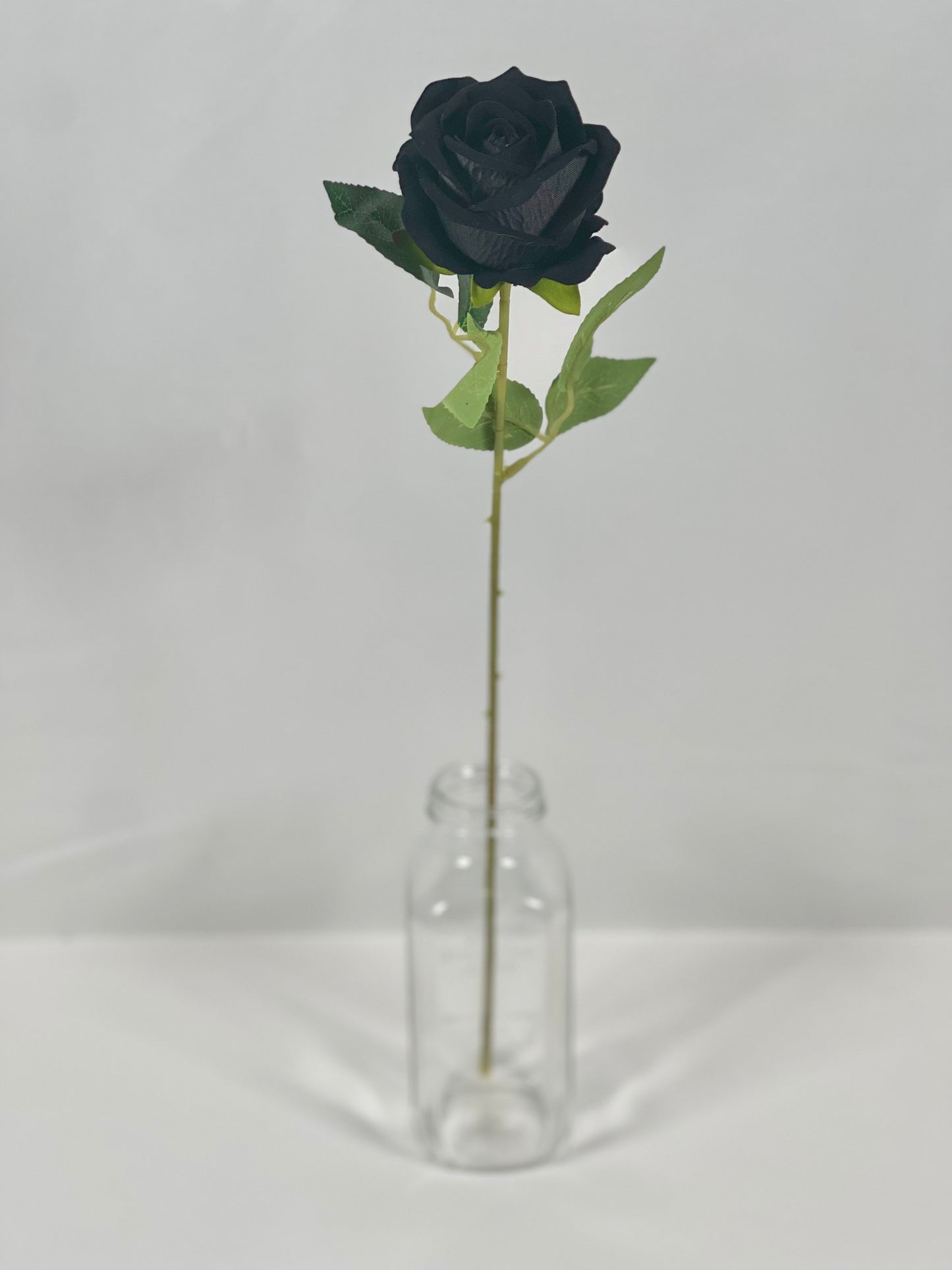 Single Stem Rose in Red and Black Colors  1 dozen