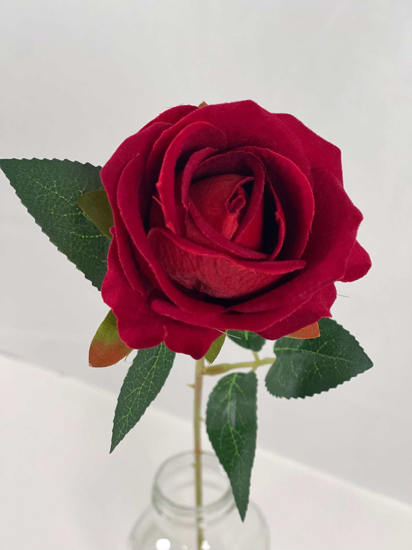 Single Stem Rose in Red and Black Colors  1 dozen