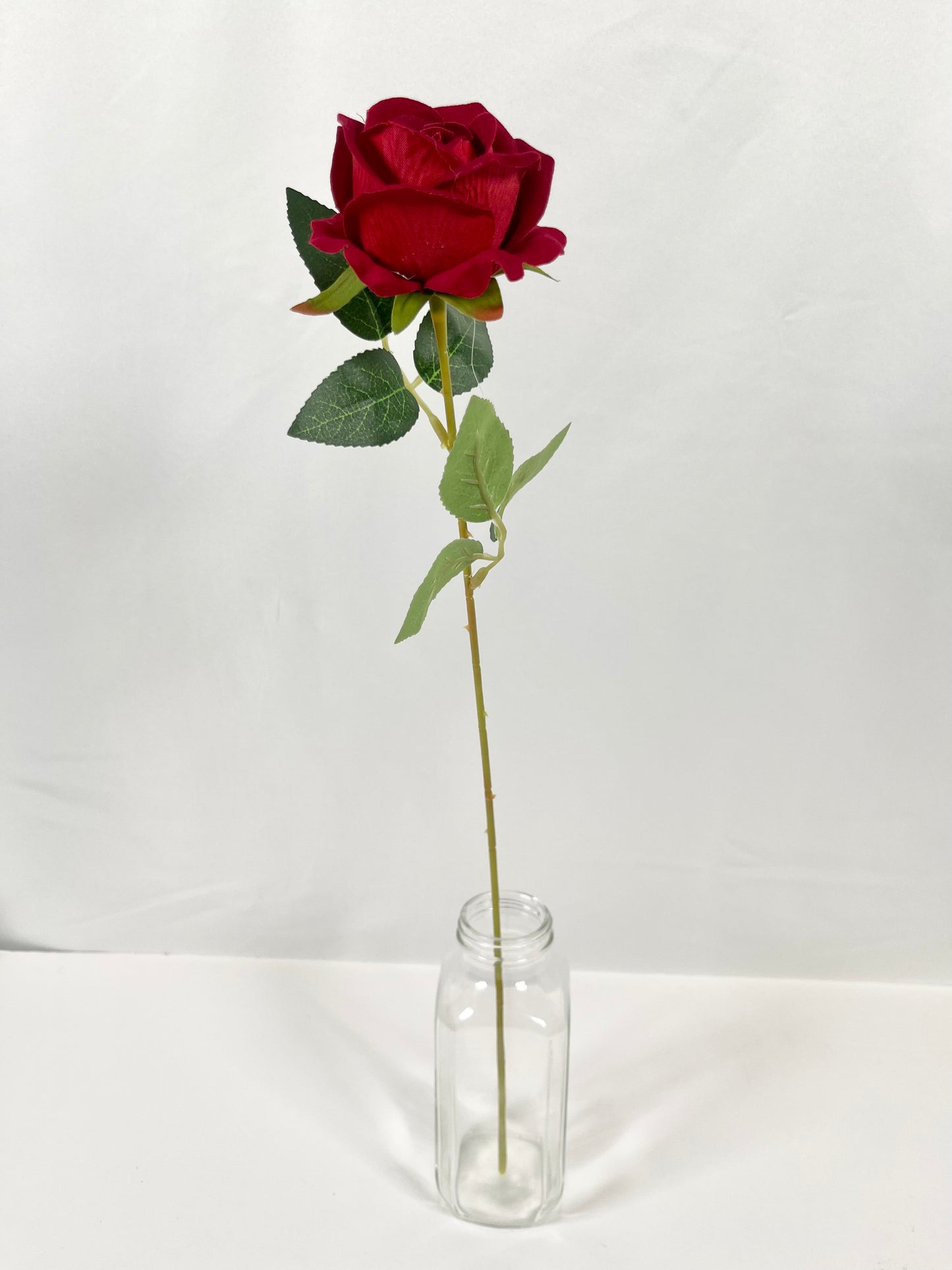 Single Stem Rose in Red and Black Colors  1 dozen